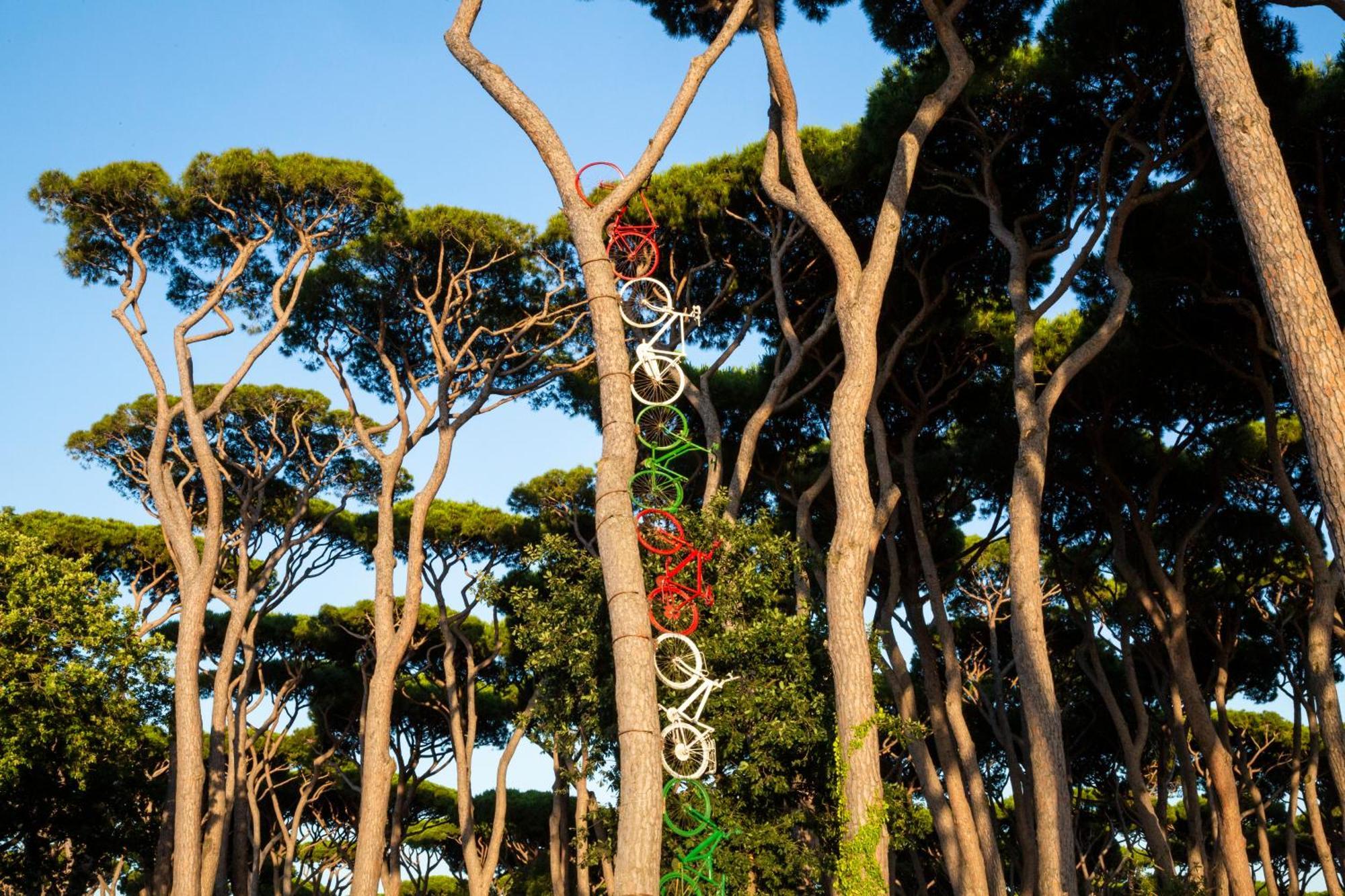Hotel Il Mulinaccio San Vincenzo Zewnętrze zdjęcie